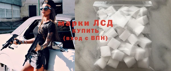 ГАЛЛЮЦИНОГЕННЫЕ ГРИБЫ Гусев