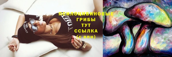 спайс Гусиноозёрск