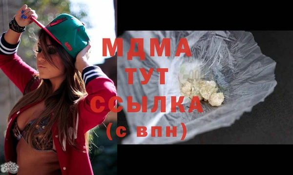 ГАЛЛЮЦИНОГЕННЫЕ ГРИБЫ Гусев