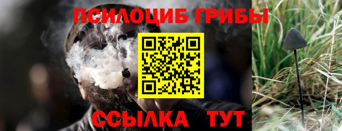Псилоцибиновые грибы мицелий  Вход с VPN  Свободный  Псилоцибиновые грибы ЛСД 