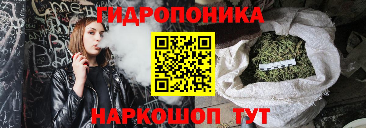 Канабис планчик  Вход с VPN  Марихуана OG Kush  Свободный  Каннабис THC 21% 